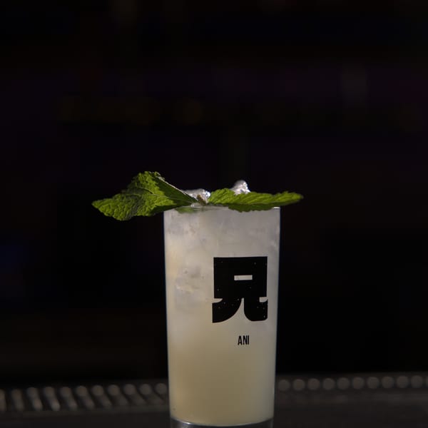 A tall glass of light-colored cocktail with ice and mint garnish, featuring the Ani logo.